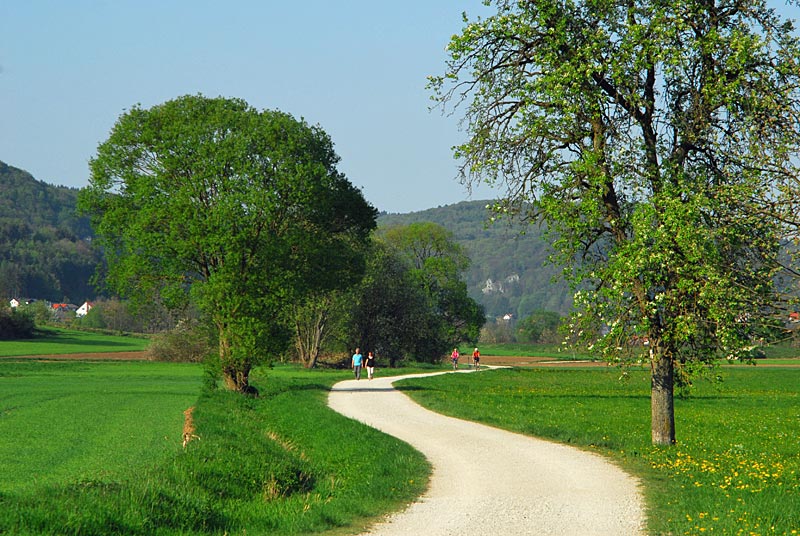 Single ebermannstadt